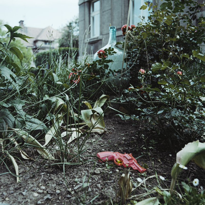 The Garden