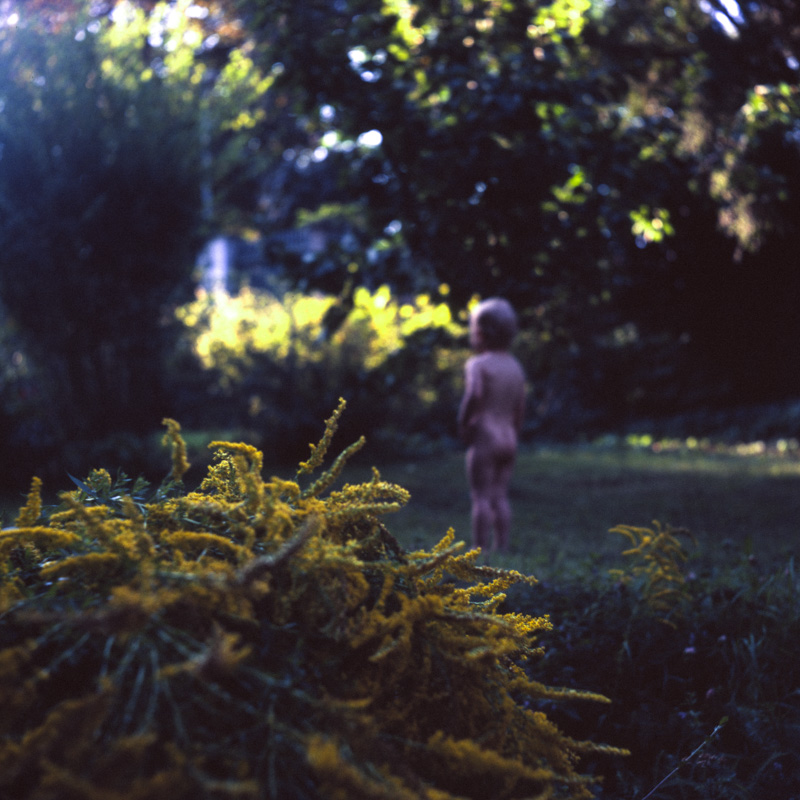 The Garden