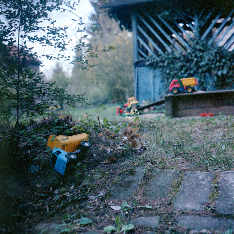 The Garden