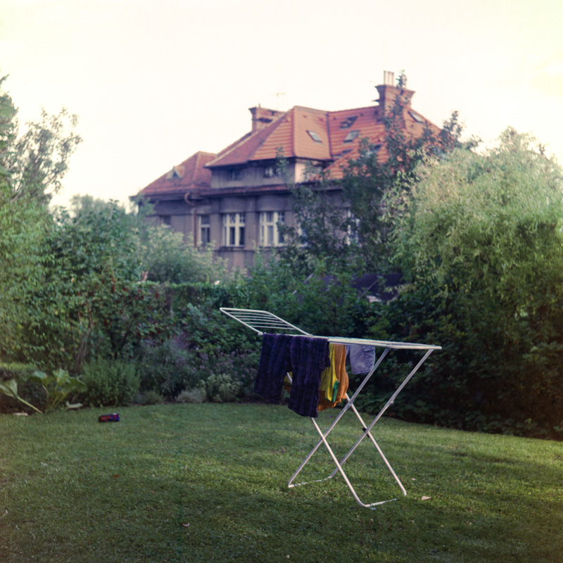 The Garden