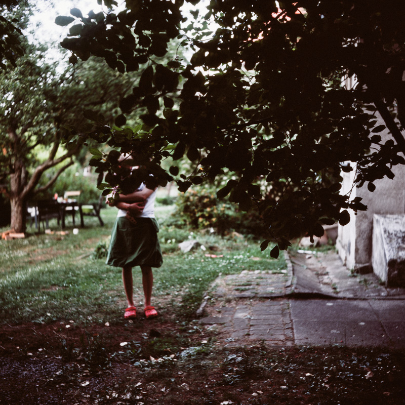 The Garden
