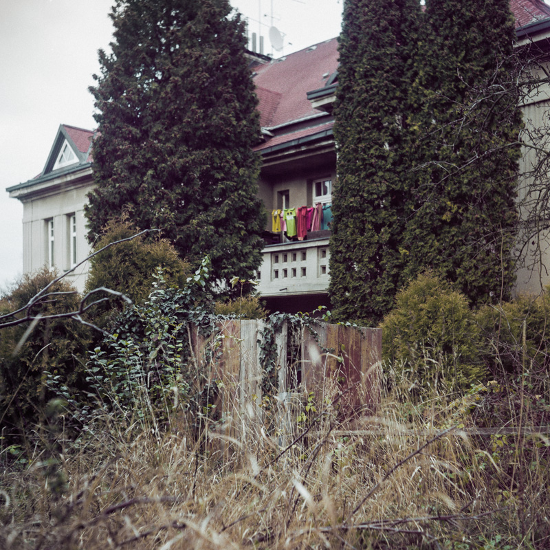 The Garden