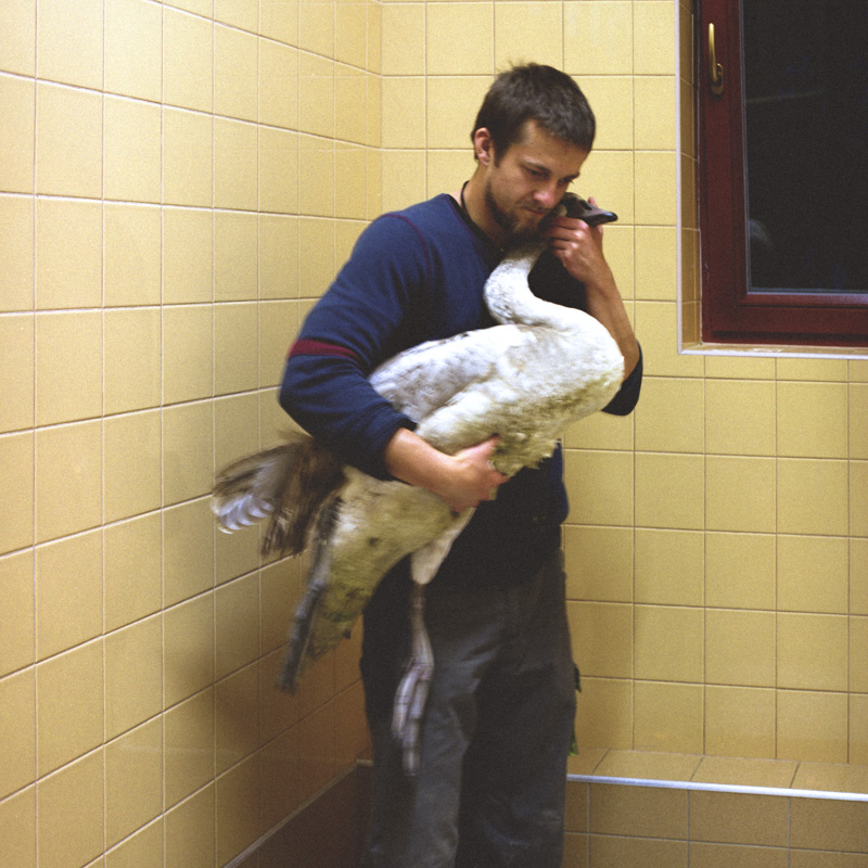 The Rescue Station