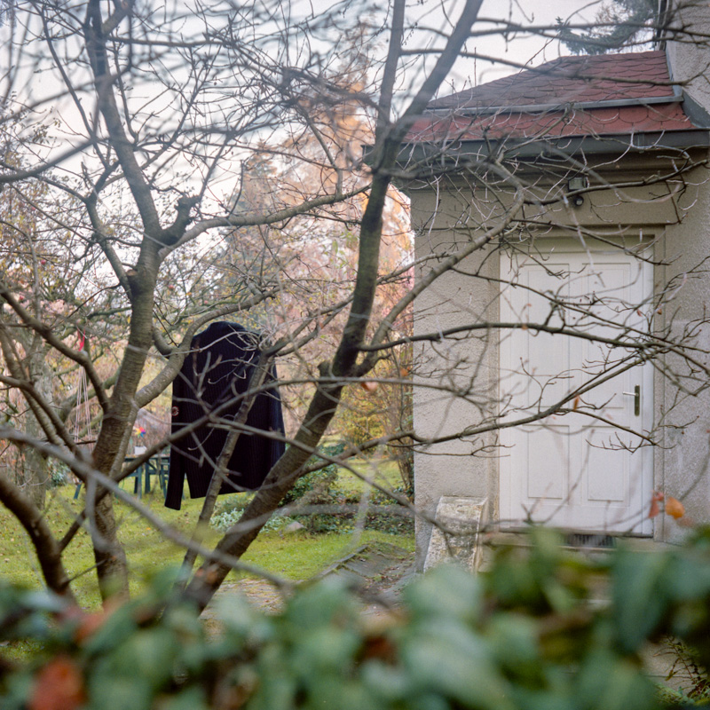 The Garden